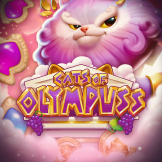 شعار Cats of Olympuss