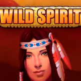Wild Spirit logo