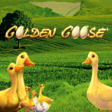 شعار Golden Goose