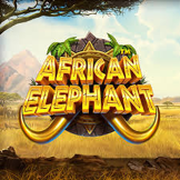 شعار African Elephant