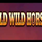 شعار Wild Wild Horses