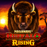 شعار Buffalo Rising Megaways