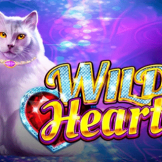 شعار Wild Hearts
