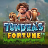 شعار Tundra's Fortune