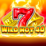 شعار Wild Hot 40