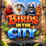 شعار Birds in The City