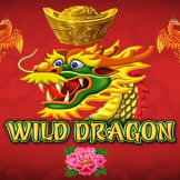 شعار Wild Dragon