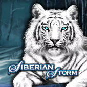 Siberian Storm logo