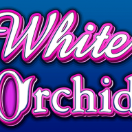 شعار White Orchid