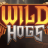 Wild Hogs logo