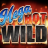 شعار Mega Hot Wild