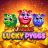 شعار J Mania Lucky Pigs