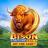 شعار Bison Fortune Coins