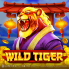 شعار Wild Tiger
