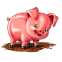 صورة Pig