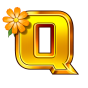 صورة Q