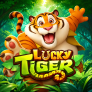 شعار Lucky Tiger