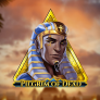 شعار Pilgrim of Dead
