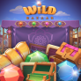 شعار Wild Bazaar