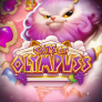 شعار Cats of Olympuss