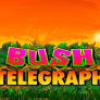 شعار Bush Telegraph