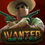 شعار Wanted Dead or a Wild