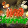 شعار Wild Cherries