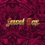 شعار Jewel Box
