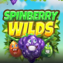 شعار Spinberry Wilds