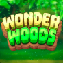 شعار Wonder Woods