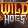 شعار Wild Hogs