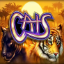 شعار Cats