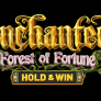 شعار Enchanted: Forest of Fortune