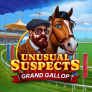 شعار Unusual Suspects Grand Gallop