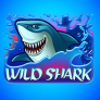 شعار Wild Shark