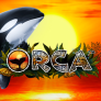شعار Orca