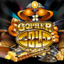 شعار Gopher Gold