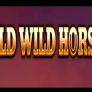 شعار Wild Wild Horses