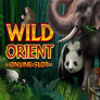 شعار Wild Orient