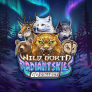 شعار Wild North Radiant Skies Go Collect