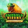 شعار Emerald Bisons PrizeMatch