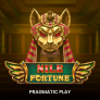 شعار Nile Fortune