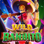 شعار Wild Bandito