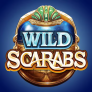 شعار Wild Scarabs