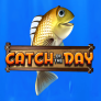 شعار Catch Of The Day
