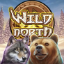 شعار Wild North