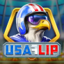 شعار USA Flip