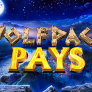شعار Wolfpack Pays