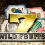 شعار WildFruits