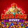شعار Reel King Riches